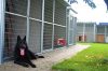 RENATO Hundezwinger 2x2m grundfläche ohne Holzboden