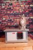 Thermo Renato Cat house with Window "CAT" insize