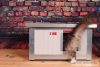 Thermo Renato Cat house with Window "CAT" insize