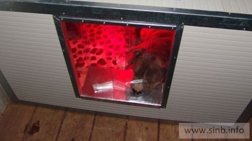 Thermo Vorhang für REB-120 Wurfbox (40*60cm) - SINB Doghouse